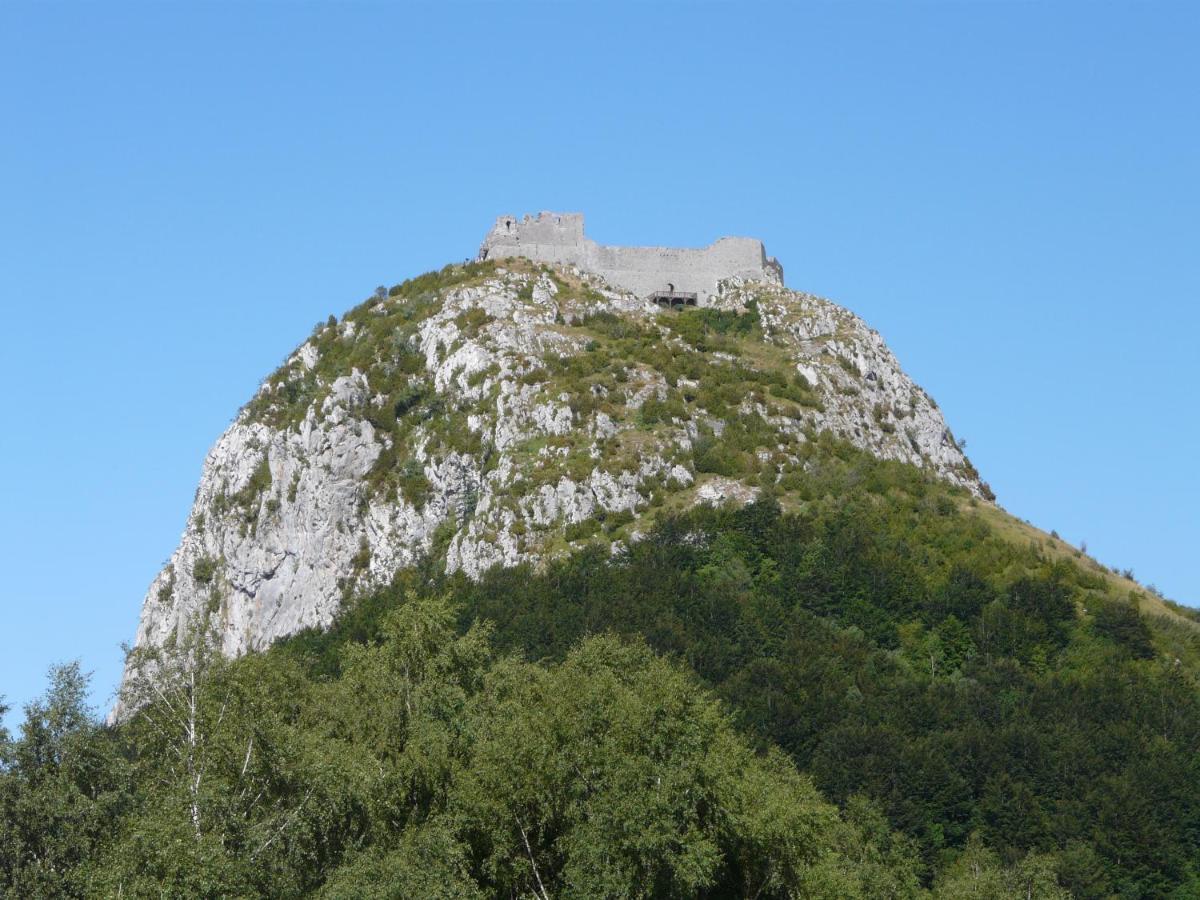 Gites Et Roulottes Au Domaine De La Trille Sainte-Foi Exteriér fotografie